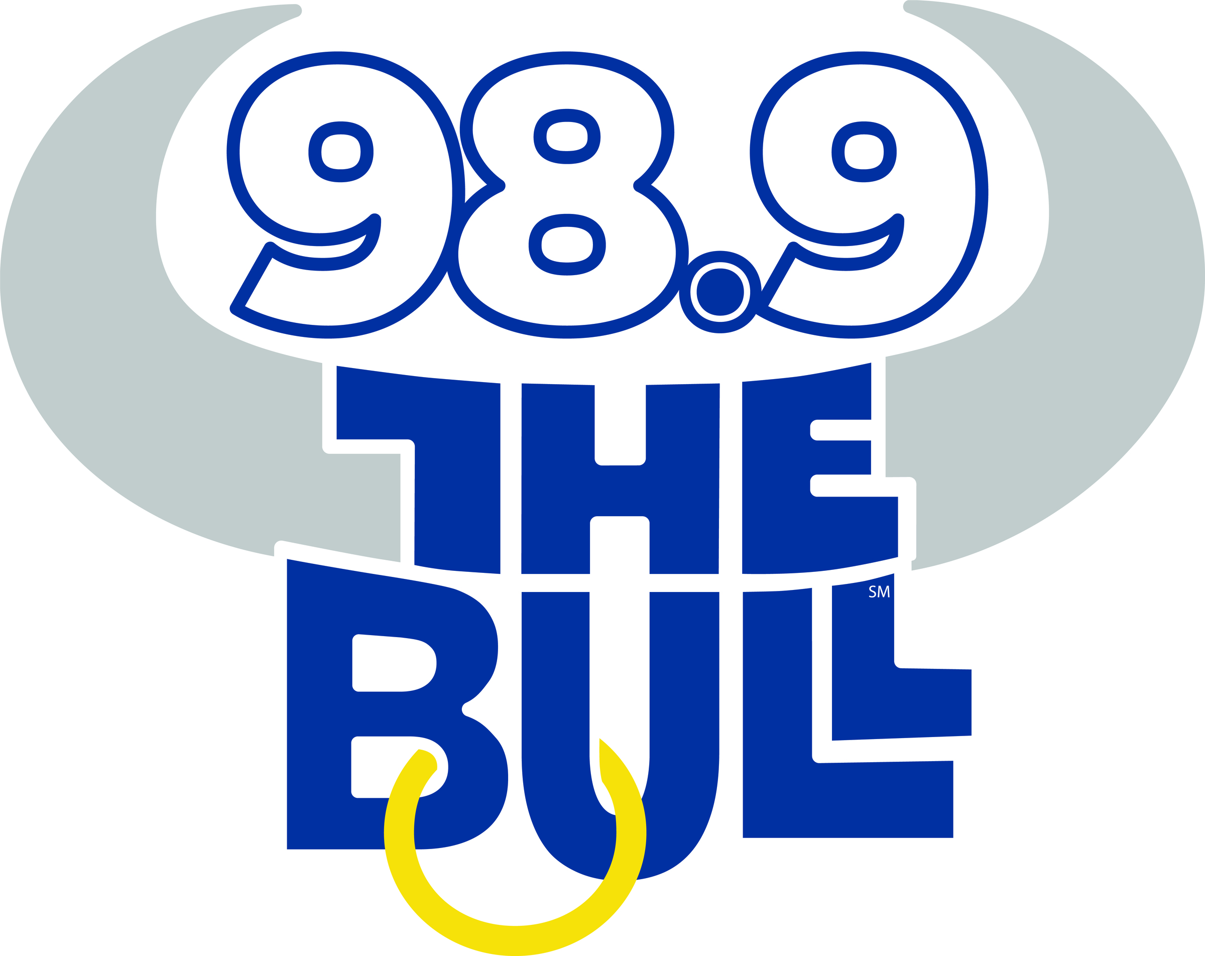 TheNew-989-TheBull-logo
